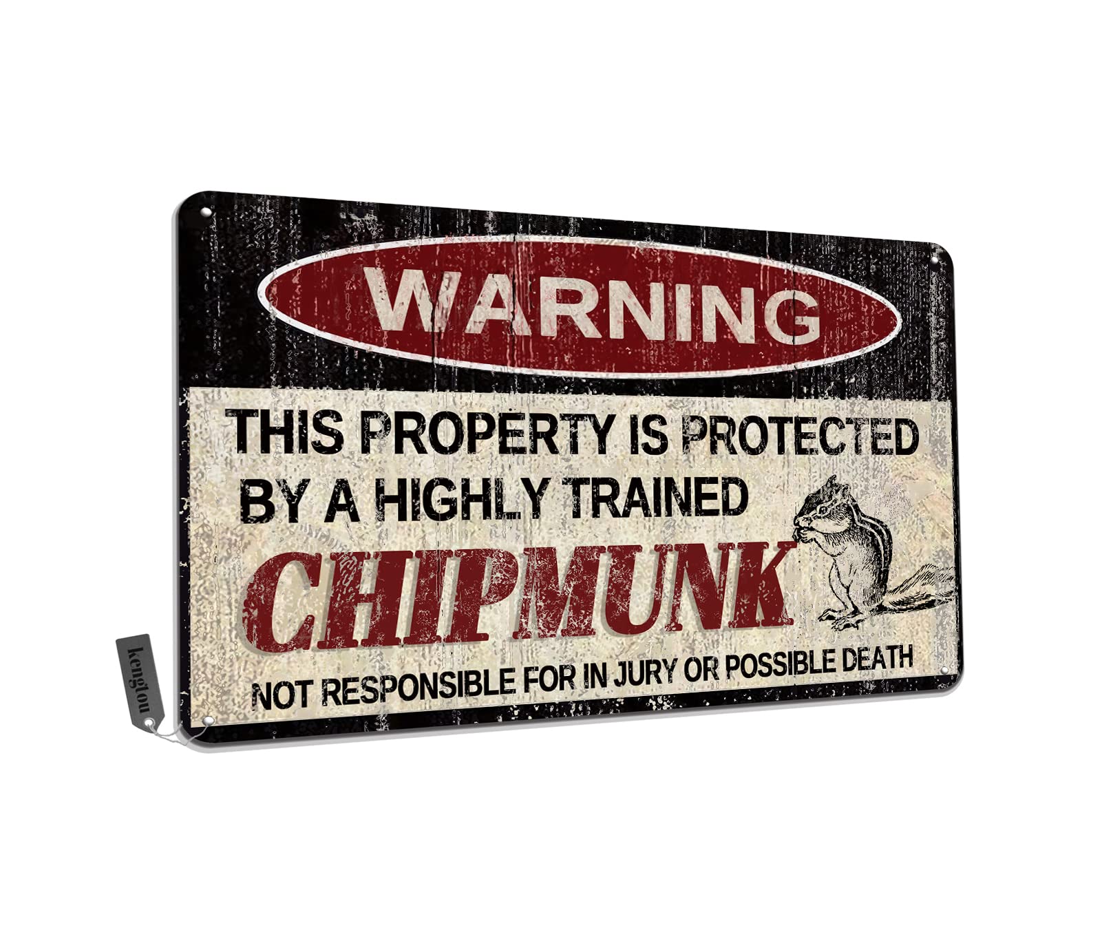 Chickens Tin Sign, Funny Metal Sign, Vintage Wall Decor 12x8 Inch - Warning This Property Protected by Chickens