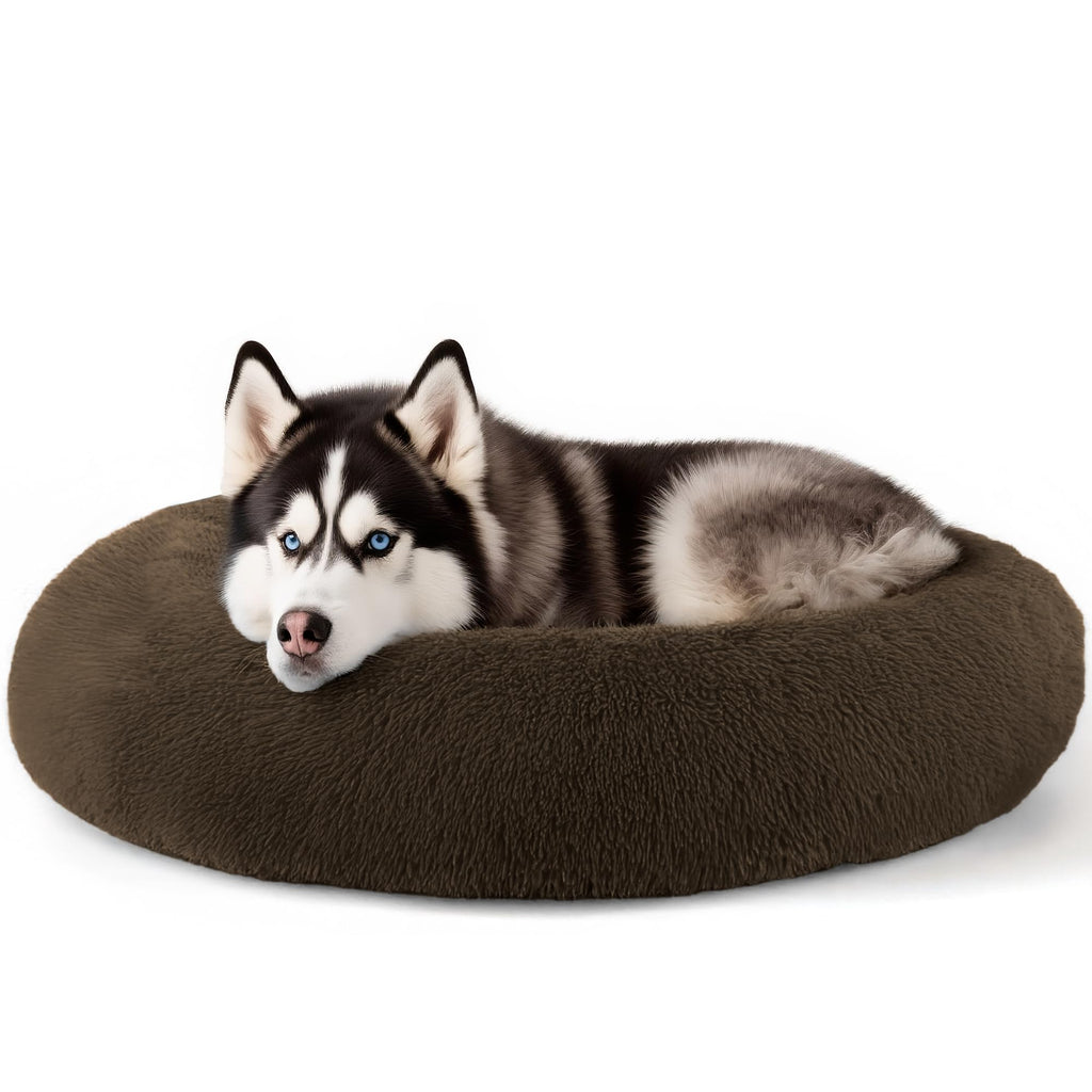 Hoewina Dog & Cat Bed for Indoor Cats, 20in Calming Donut Bed for Puppy and Kitten, Washable Round Fluffy Pet Bed for Small Medium Dogs and Cats (Light Grey)
