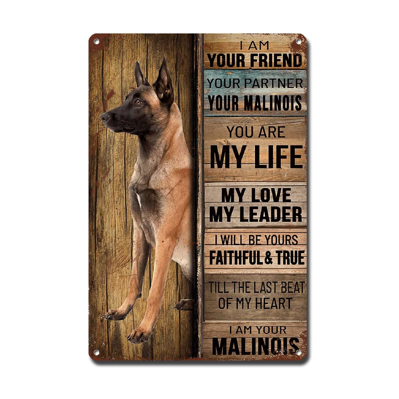 Lygond Metal Sign Tin Sign Vintage Wall Art I Am Your Friend Gift for Boxer Lovers Dog Lovers Vintage Wall Art Prints Restroom Tin Sign for Pub 8×12 Inches