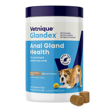 Vetnique Glandex Anal Gland Soft Chew Treats with Pumpkin for Dogs Digestive Enzymes, Probiotics Fiber Supplement for Dogs Boot The Scoot (Advanced Strength Duck/Bacon, 60 Ct)