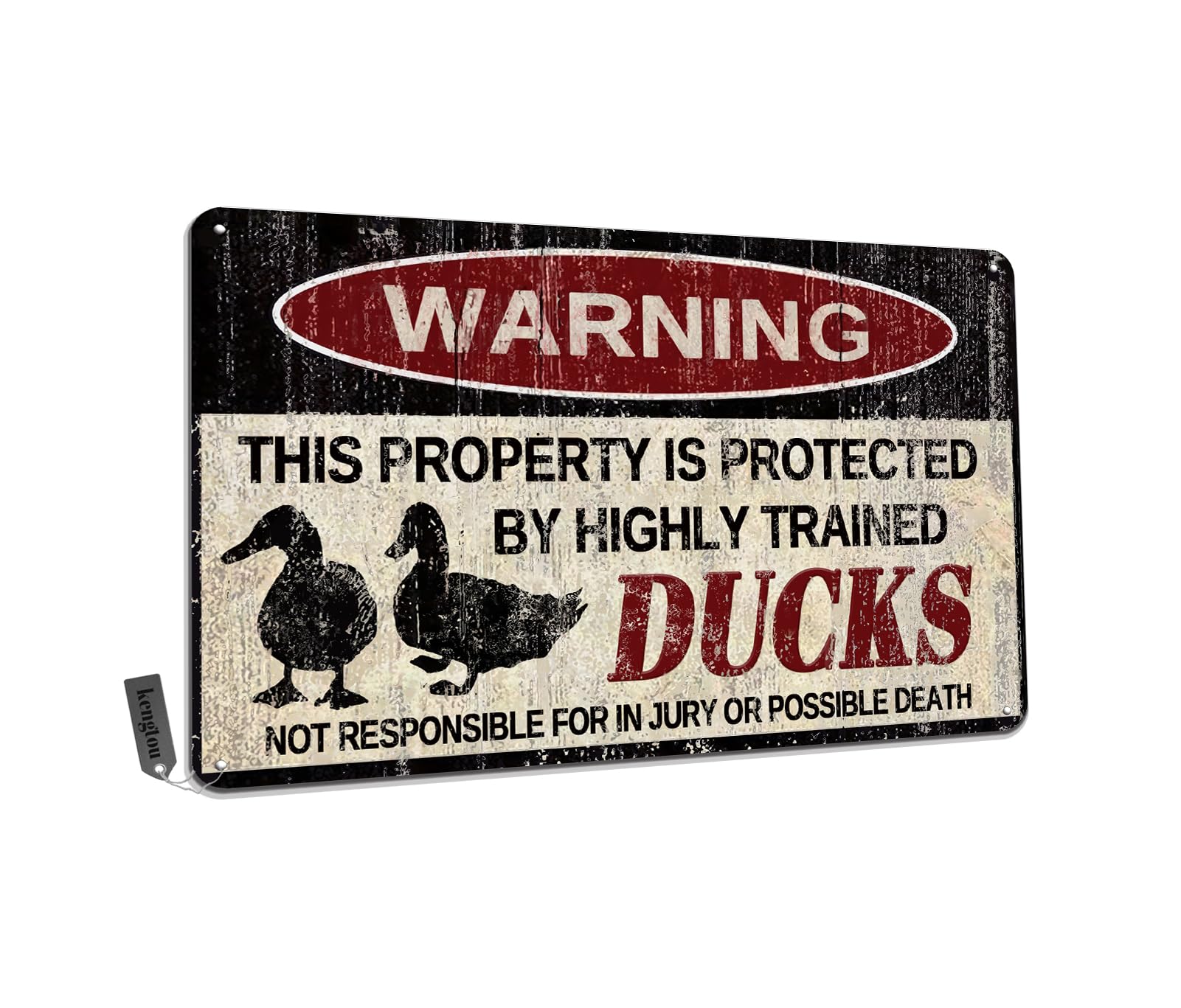 Chickens Tin Sign, Funny Metal Sign, Vintage Wall Decor 12x8 Inch - Warning This Property Protected by Chickens