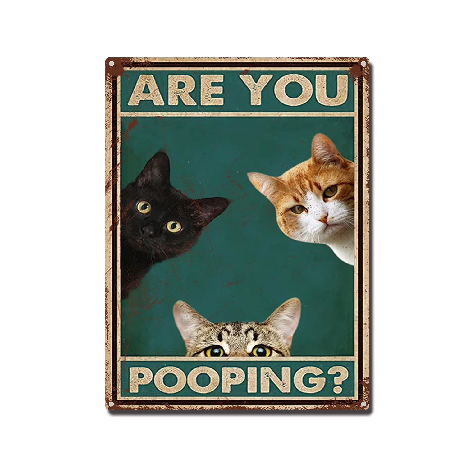 THUANCKY Metal Sign are You Pooping Cat Bathroom Funny Novelty Funny Metal Sign Wall Decor Man Cave Bar 8x12inch Tin Sign