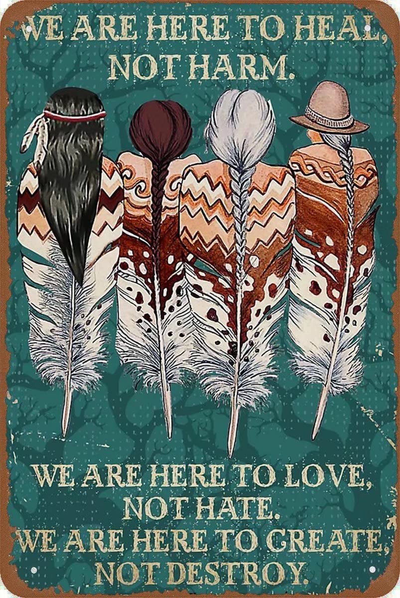 Metal Tin Sign Vintage We Came to Native American Knowledge Aluminum Sign Wall Decor Shed Garage Man Cave Kitchen 12 X 8 Inch