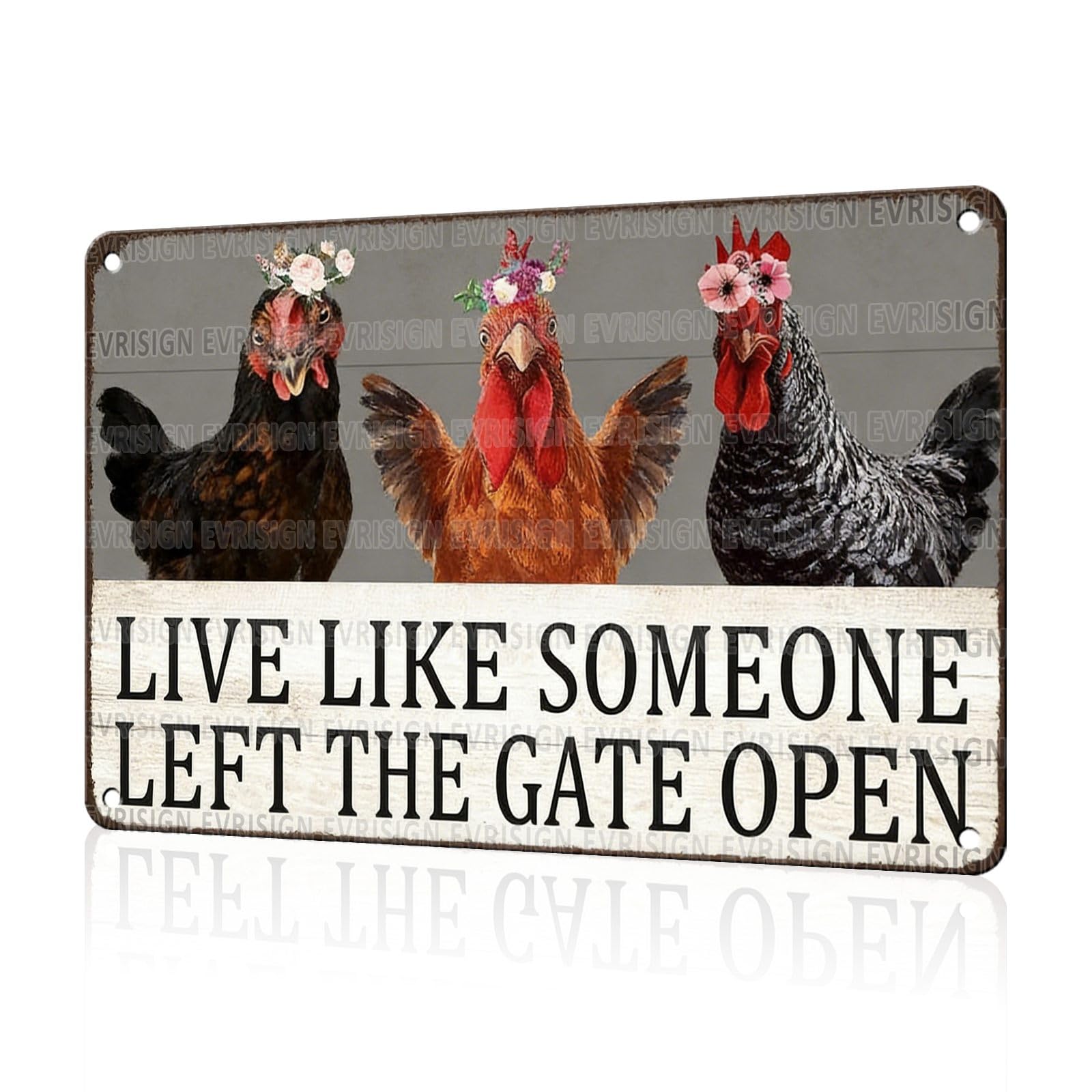 Funny Chicken Faith & Farmhouse Gifts Just A Girl Who Loves Jesus&Chickens Vintage Tin Sign for Farm Kitchen Garden or Cottage Wall 8x12Inch