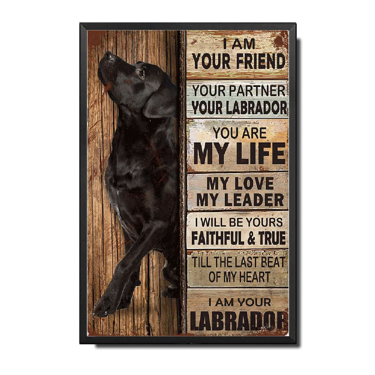 Lygond Metal Sign Tin Sign Vintage Wall Art I Am Your Friend Gift for Boxer Lovers Dog Lovers Vintage Wall Art Prints Restroom Tin Sign for Pub 8×12 Inches