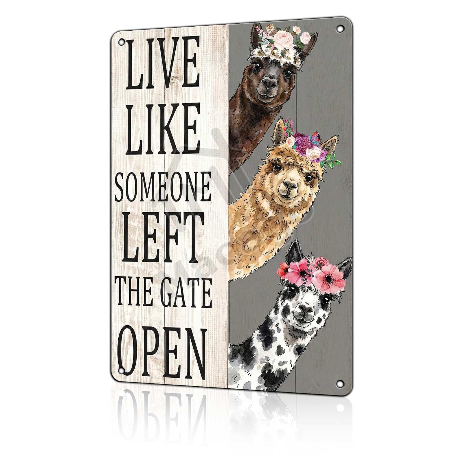 Rise and Shine Chicken Metal Tin Sign - Rustic Farmhouse Kitchen Wall Decor - Cute Rooster & Hen Art Poster for Coffee Bar or Breakfast Nook 8x12 inch