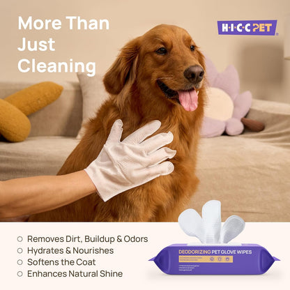 HICC PET Dog Wipes Cleaning Deodorizing Glove Wipes for Dogs, Cats & Horses, Vet Recommended Hypoallergenic Hydrating & Nourishing Pet Wipes for Eyes, Ears, Butt & Paws, No-Rinse, 6pcs Coconut Scent