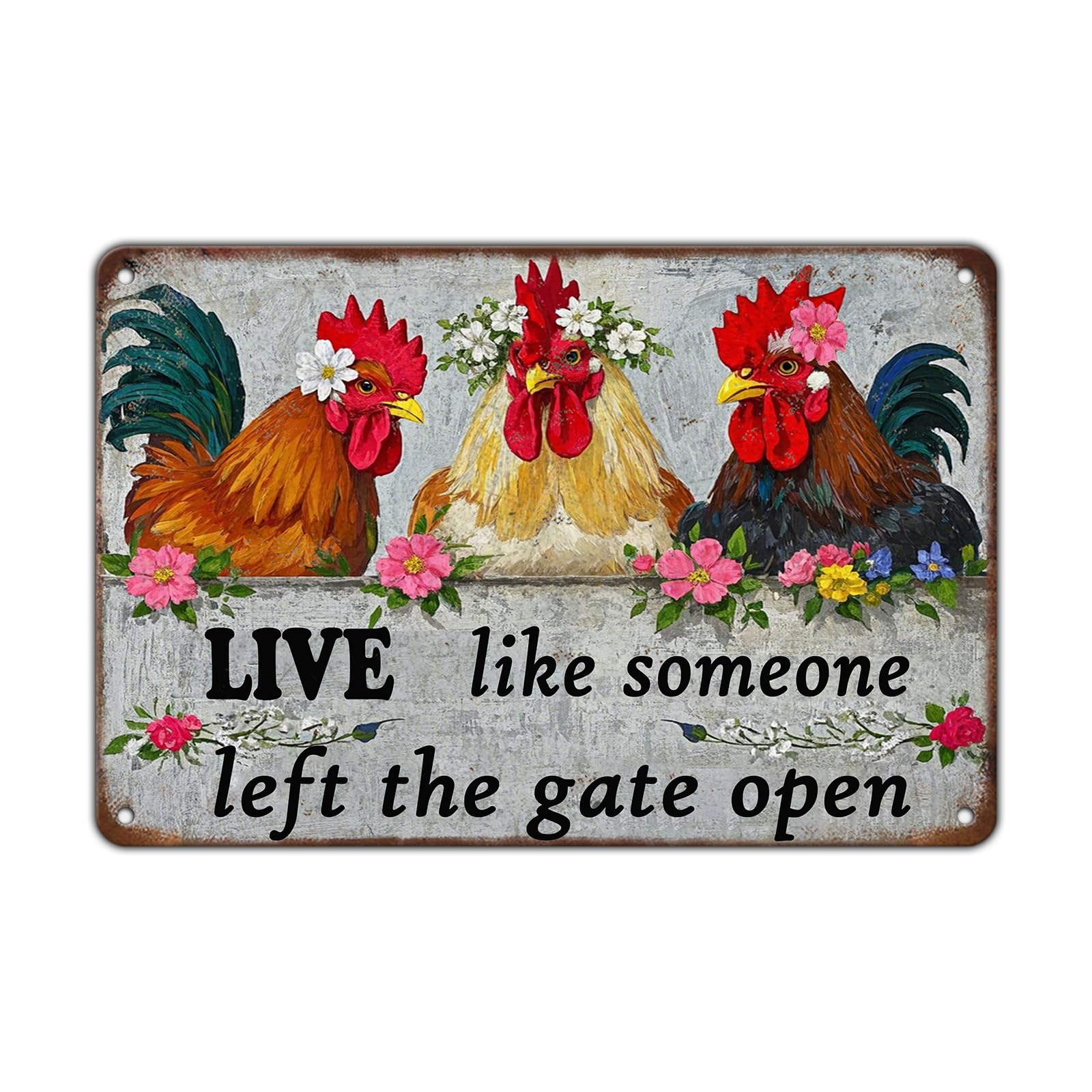 Chicken Metal Signs Rooster Kitchen Wall Decor Today I Will Pry More Worry Less Tin Sign 12x8 Inch Funny Chicken Coop Accessories Rooster Home Farm Yard Garden Decor