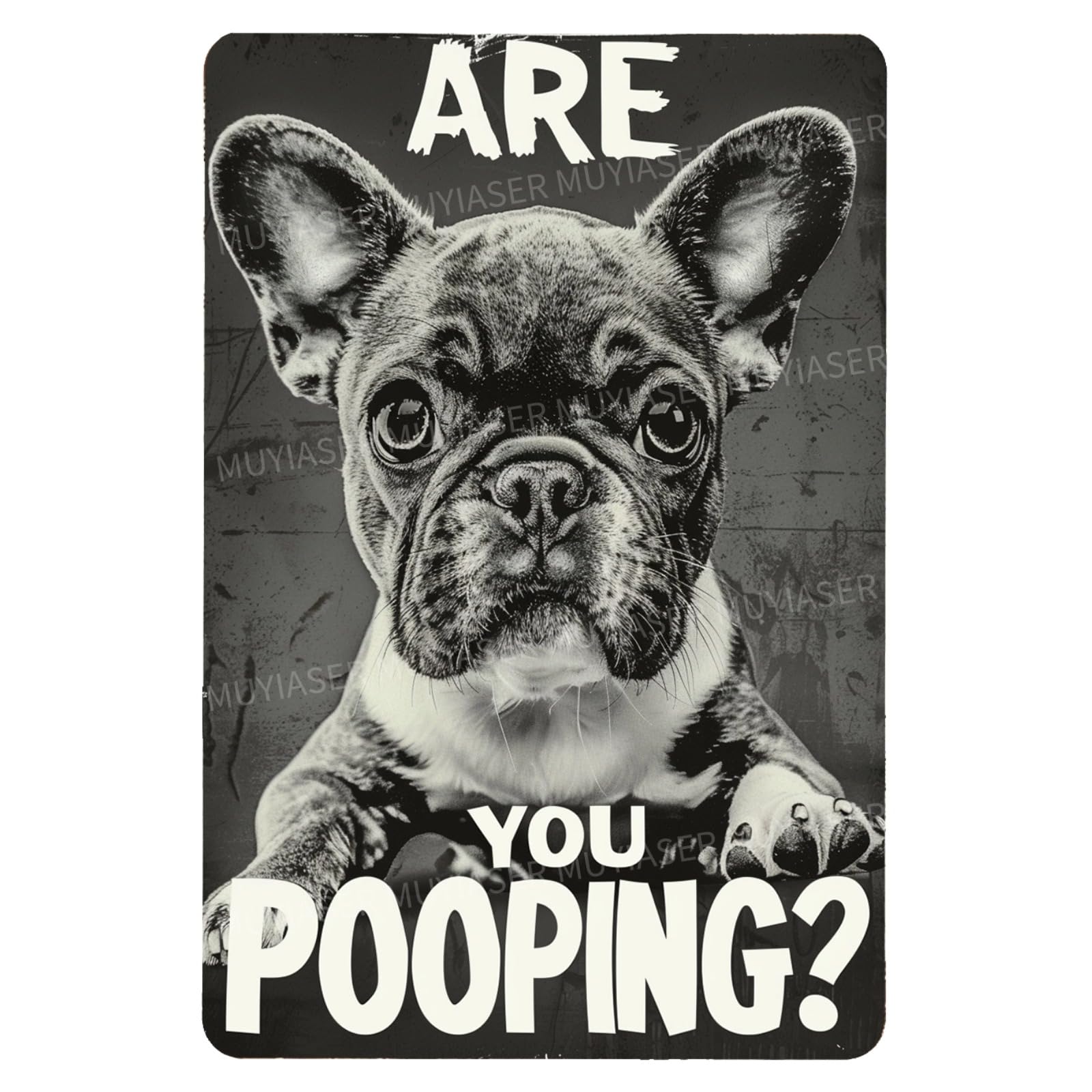 Metal Sign Easily Distracted By Cats & Garden Vintage Retro Aluminum Tin Sign for Garden, Kitchen, Office, Home, Bar, Cafe Decor 8x12 Inch