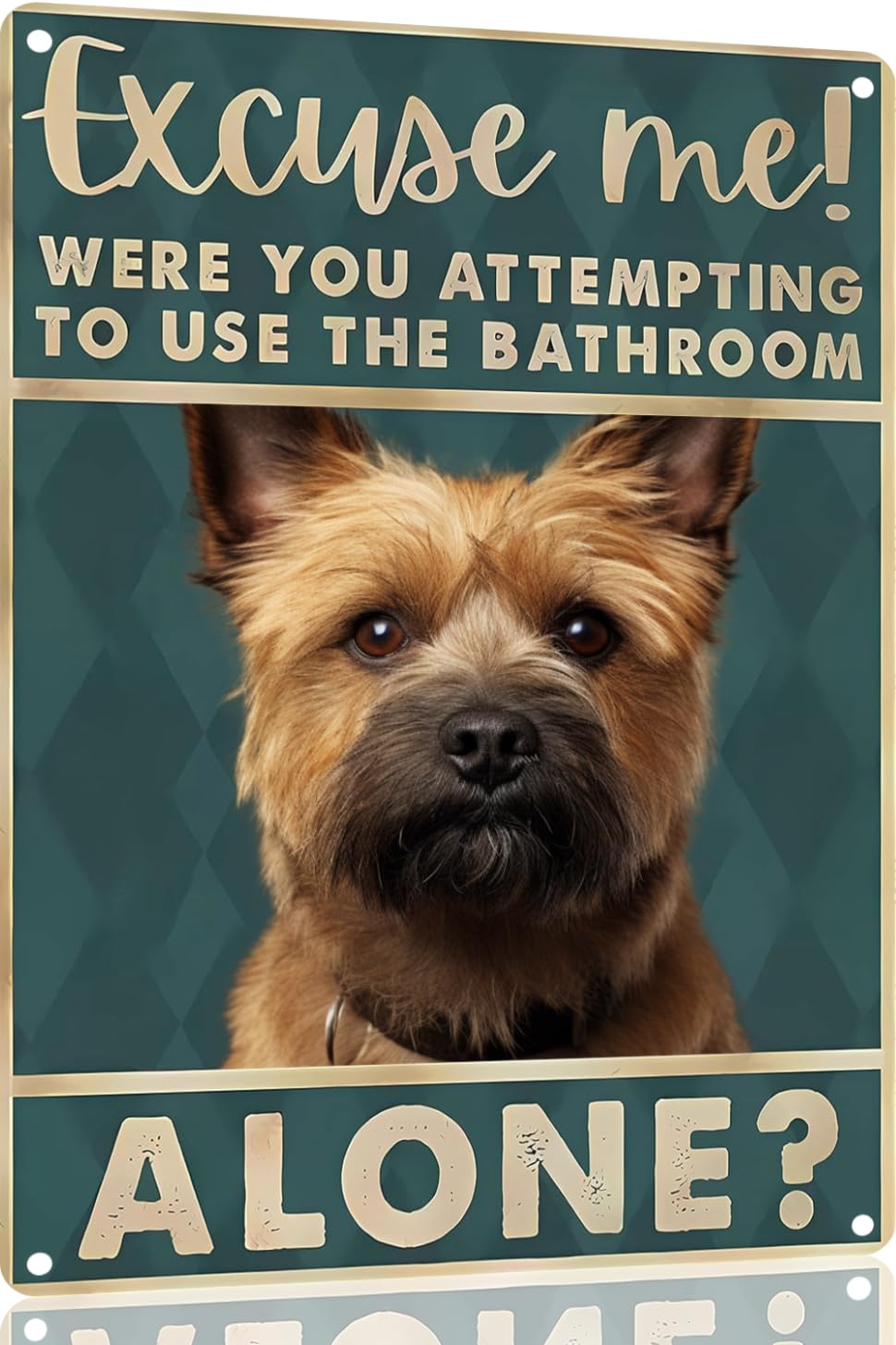 Boston Terrier Dog 12x8 inch excuse me were you attempting to use the bathroom alone - Dog Metal Poster Dog Lover Gift Art Funny Dogs Wall Art Decoration Retro Metal Tin Sign(1492)