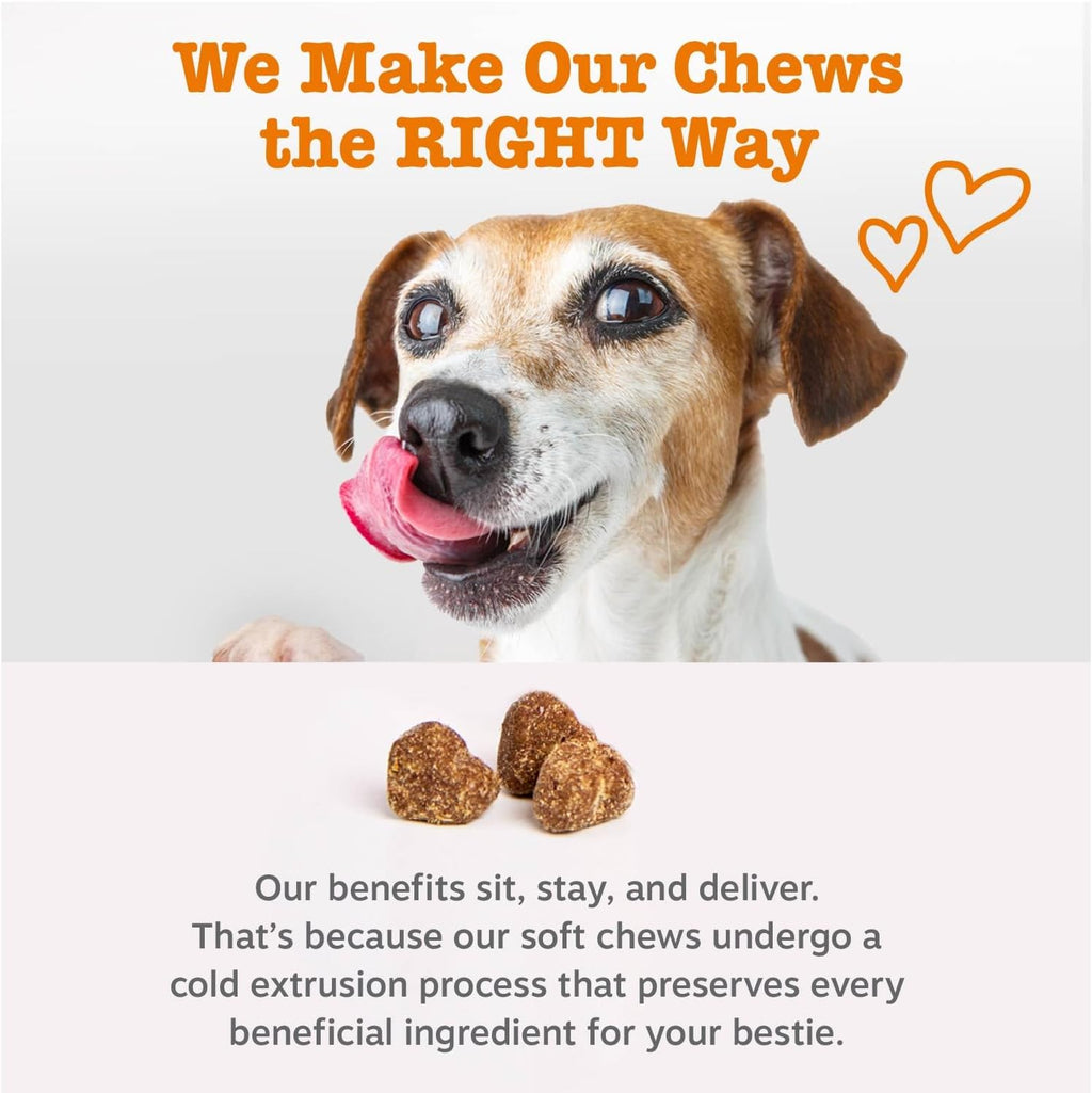 Zesty Paws Probiotics for Dogs - Digestive Enzymes for Gut Flora, Digestive Health, Diarrhea & Bowel Support - Clinically Studied DE111 - Dog Supplement Soft Chew for Pet Immune System - Pumpkin, 90ct