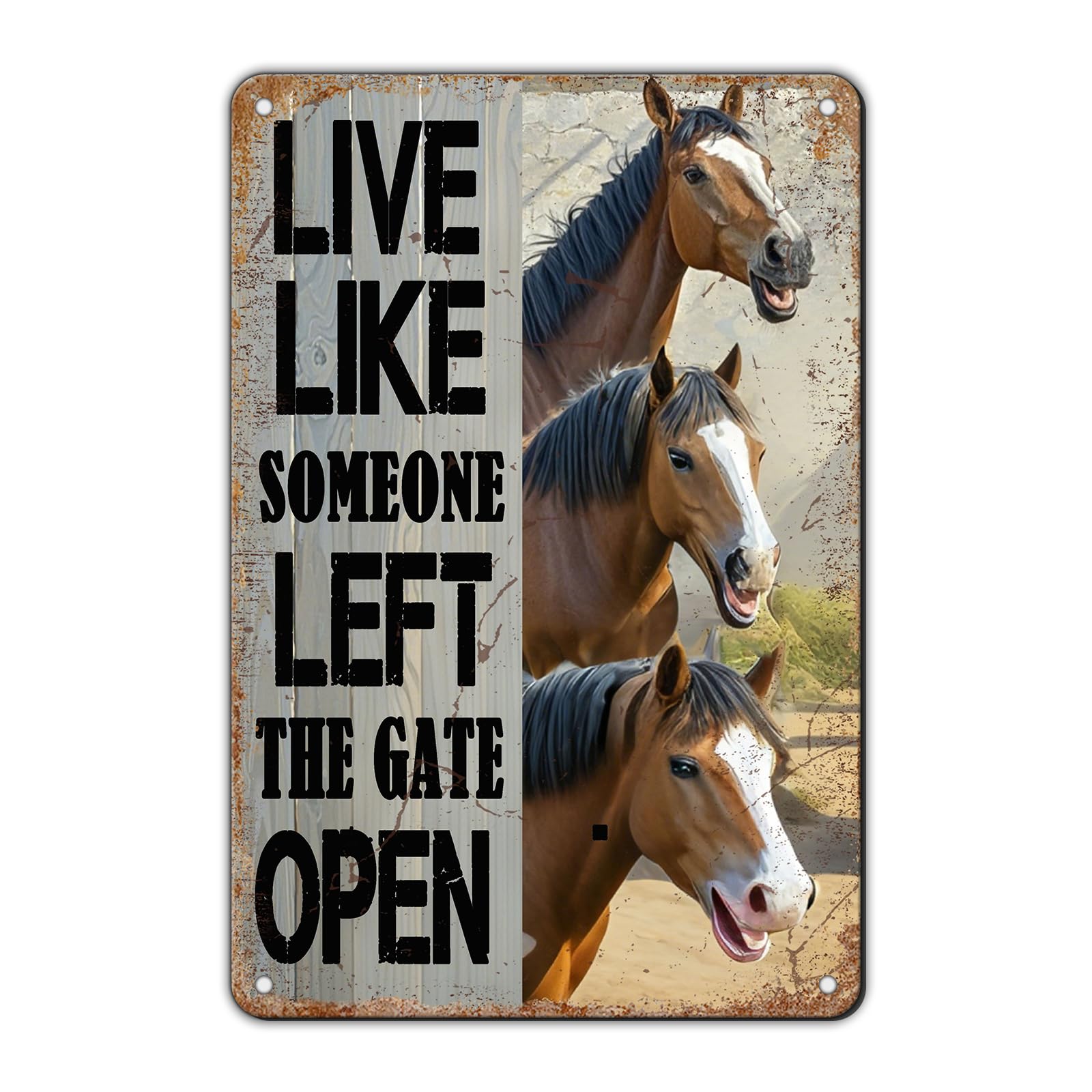 Funny Don'T Expect Me Normal Metal Tin Sign 12x8 Inch Horse Tin Sign Don'T Expect Me Normal Horse Poster Home Kitchen Garden Bar Restaurant Coffee Are Wall Decor