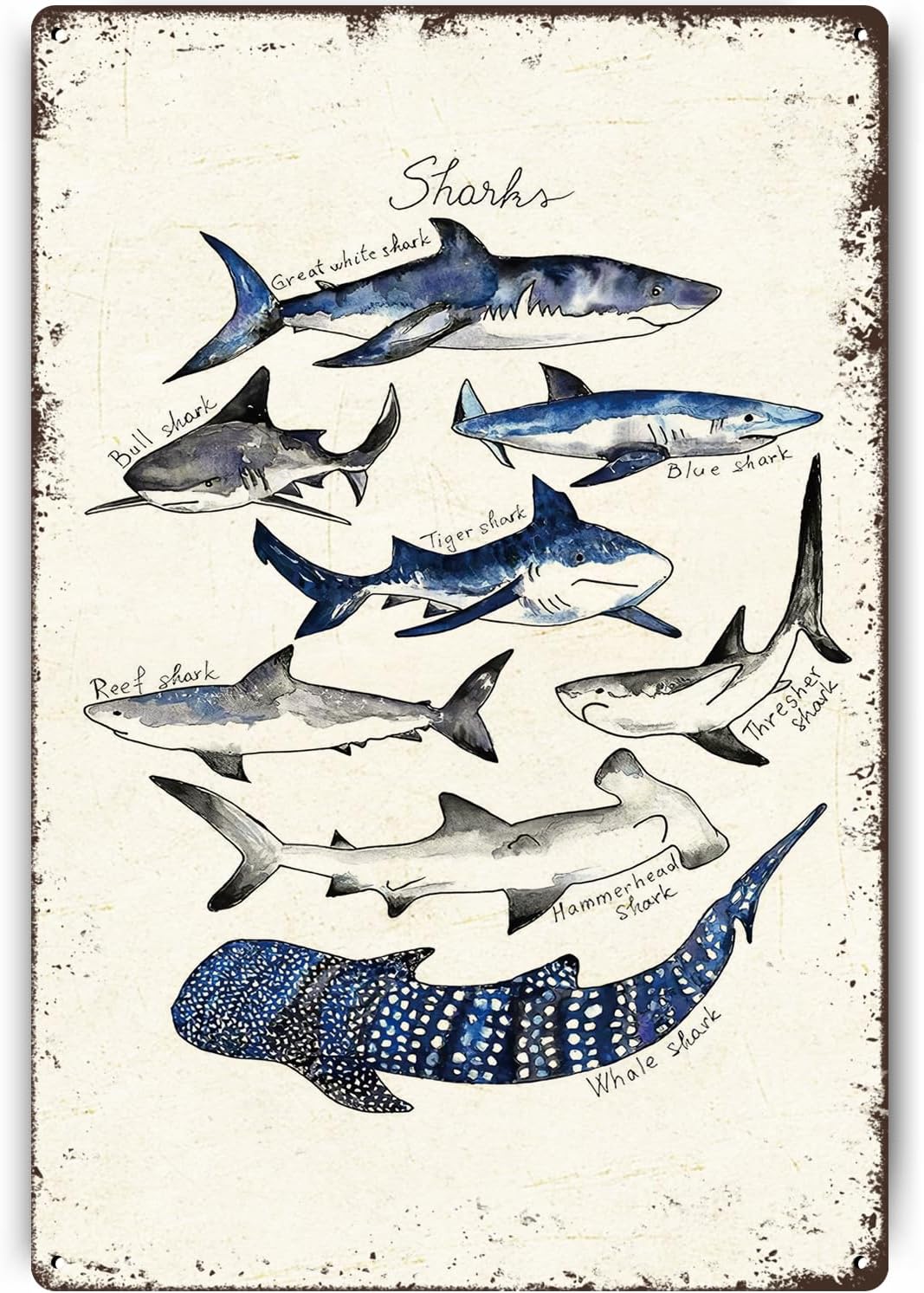 Znzd Shark Decor Types Of Watercolor Shark Poster Shark Knowledge tin signs vintage Ocean Animal Posters Shark Decor for Bedroom Science Wall Art Marine Biology Gifts for Shark Lovers 8x12 Inch