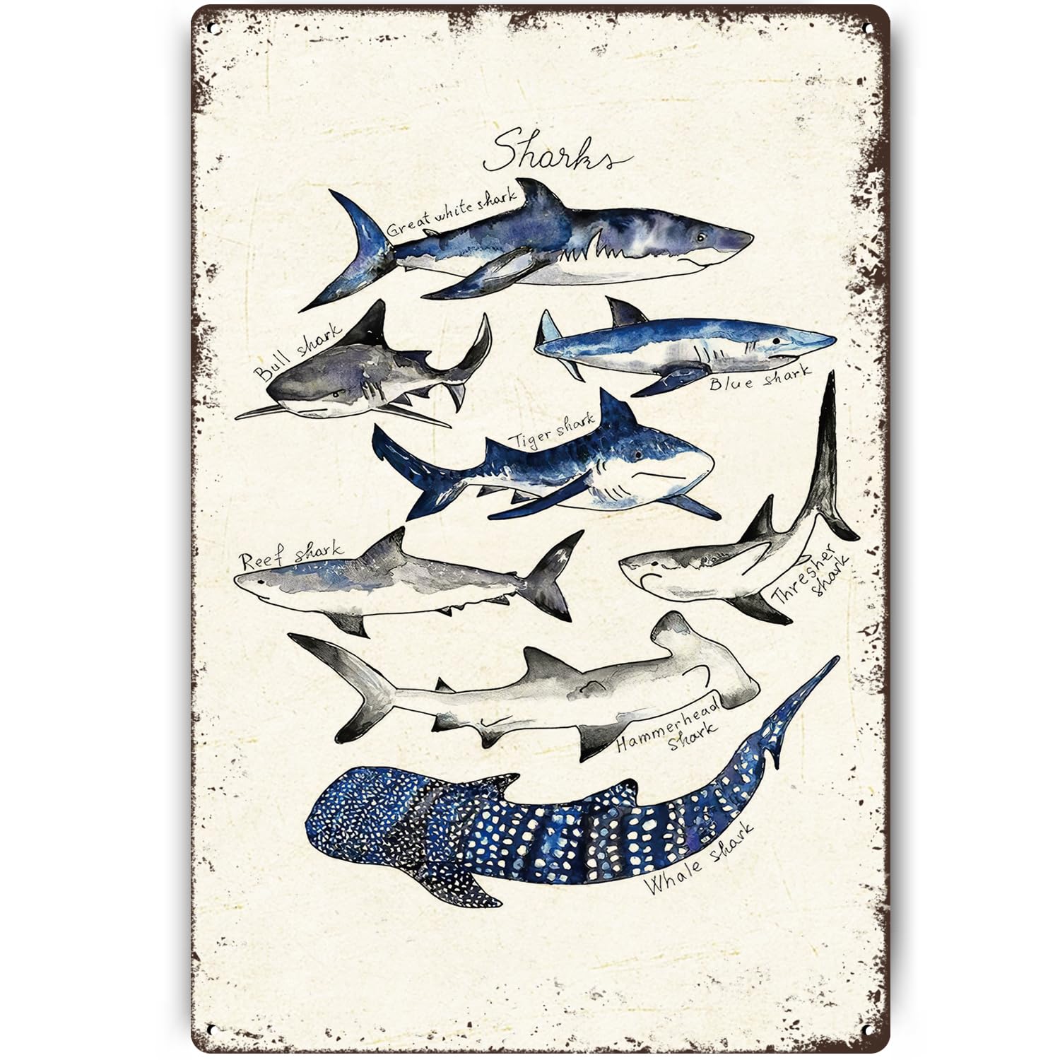 Znzd Shark Decor Types Of Watercolor Shark Poster Shark Knowledge tin signs vintage Ocean Animal Posters Shark Decor for Bedroom Science Wall Art Marine Biology Gifts for Shark Lovers 8x12 Inch