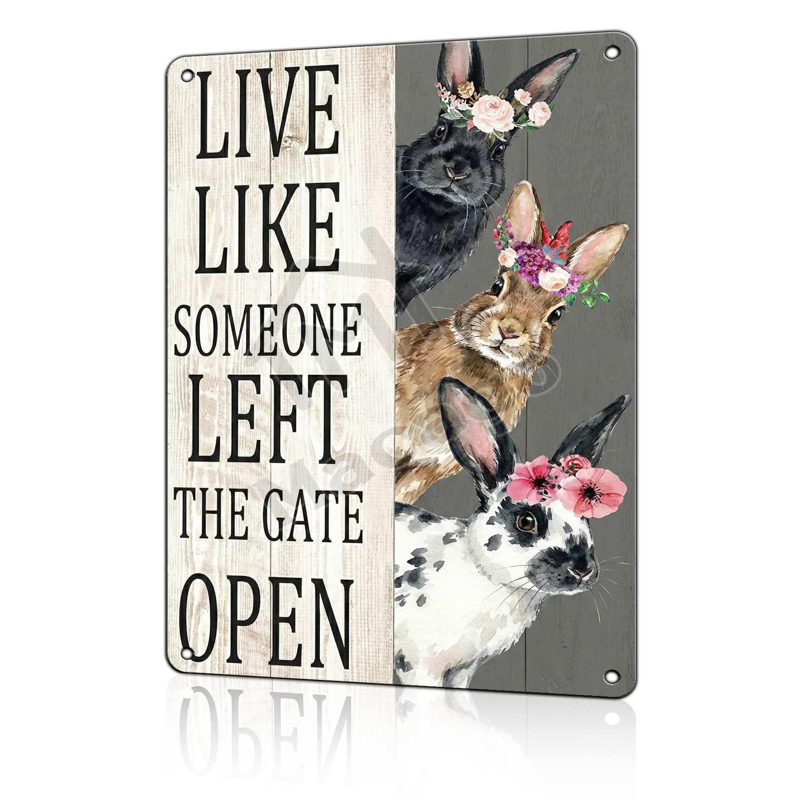Rise and Shine Chicken Metal Tin Sign - Rustic Farmhouse Kitchen Wall Decor - Cute Rooster & Hen Art Poster for Coffee Bar or Breakfast Nook 8x12 inch