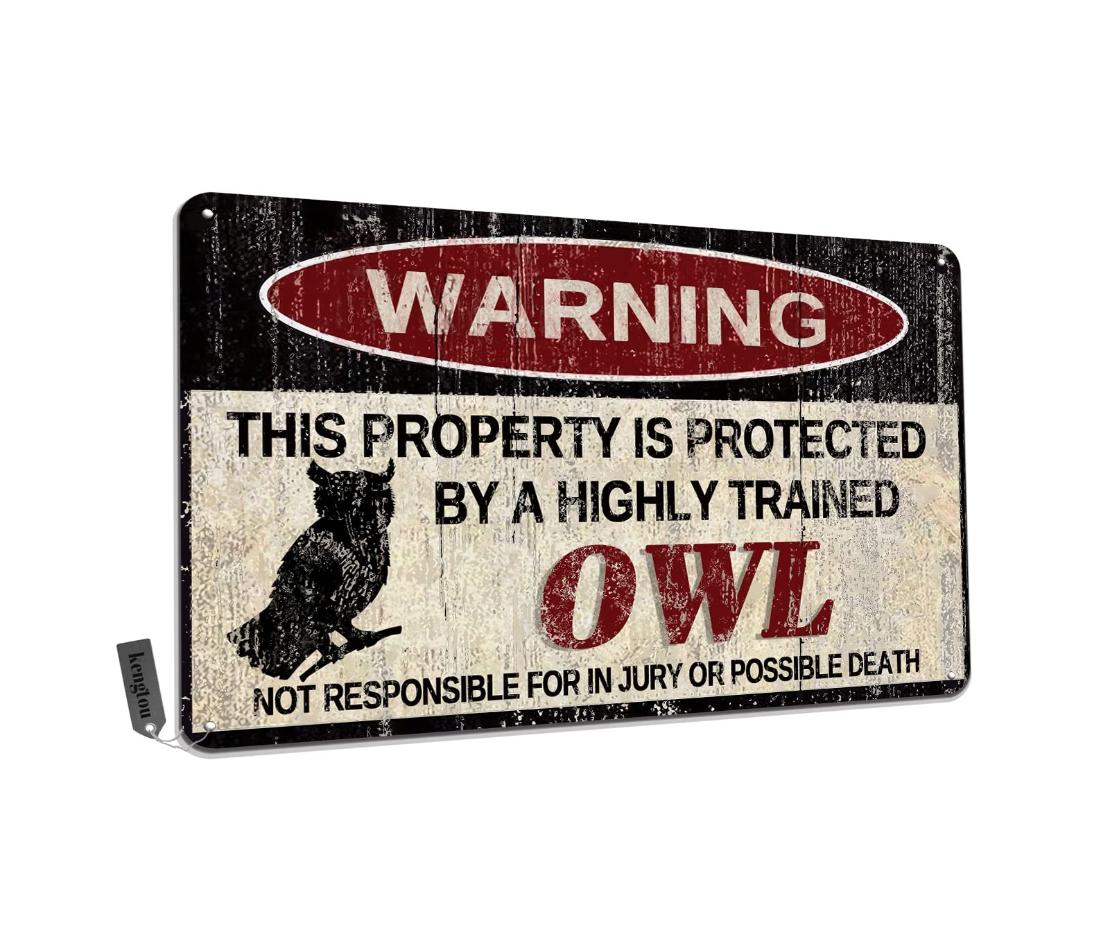 Chickens Tin Sign, Funny Metal Sign, Vintage Wall Decor 12x8 Inch - Warning This Property Protected by Chickens