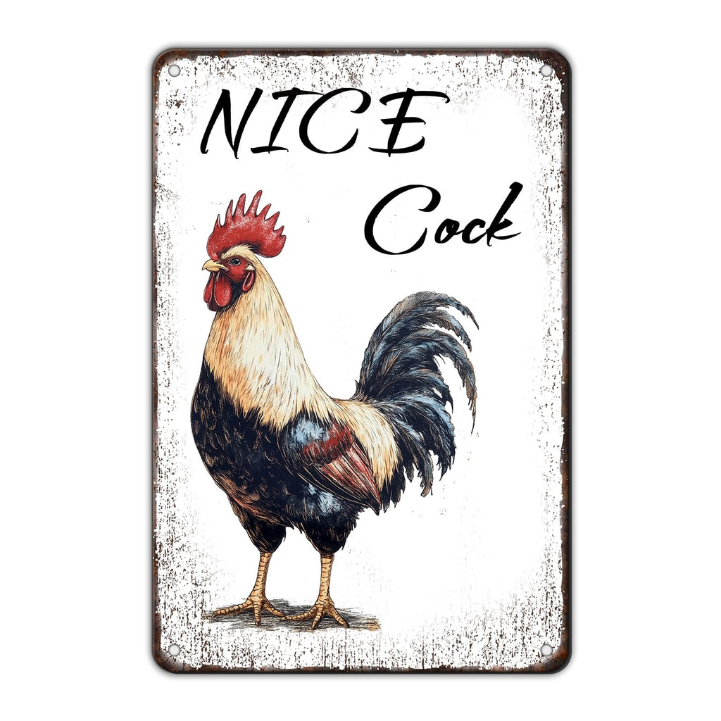 Chicken Metal Signs Rooster Kitchen Wall Decor Today I Will Pry More Worry Less Tin Sign 12x8 Inch Funny Chicken Coop Accessories Rooster Home Farm Yard Garden Decor