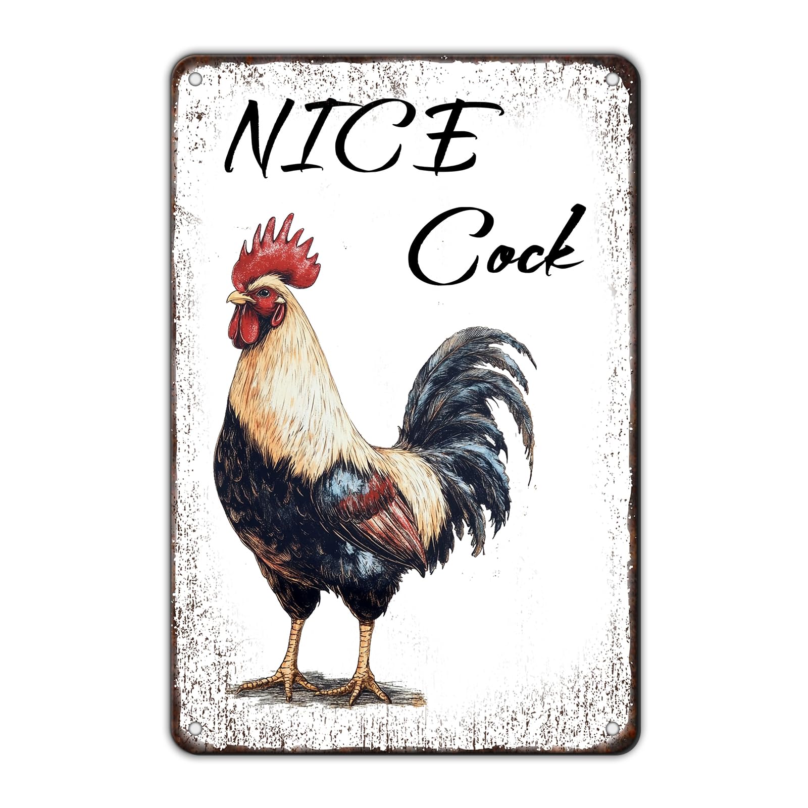Chicken Metal Signs Rooster Kitchen Wall Decor Today I Will Pry More Worry Less Tin Sign 12x8 Inch Funny Chicken Coop Accessories Rooster Home Farm Yard Garden Decor