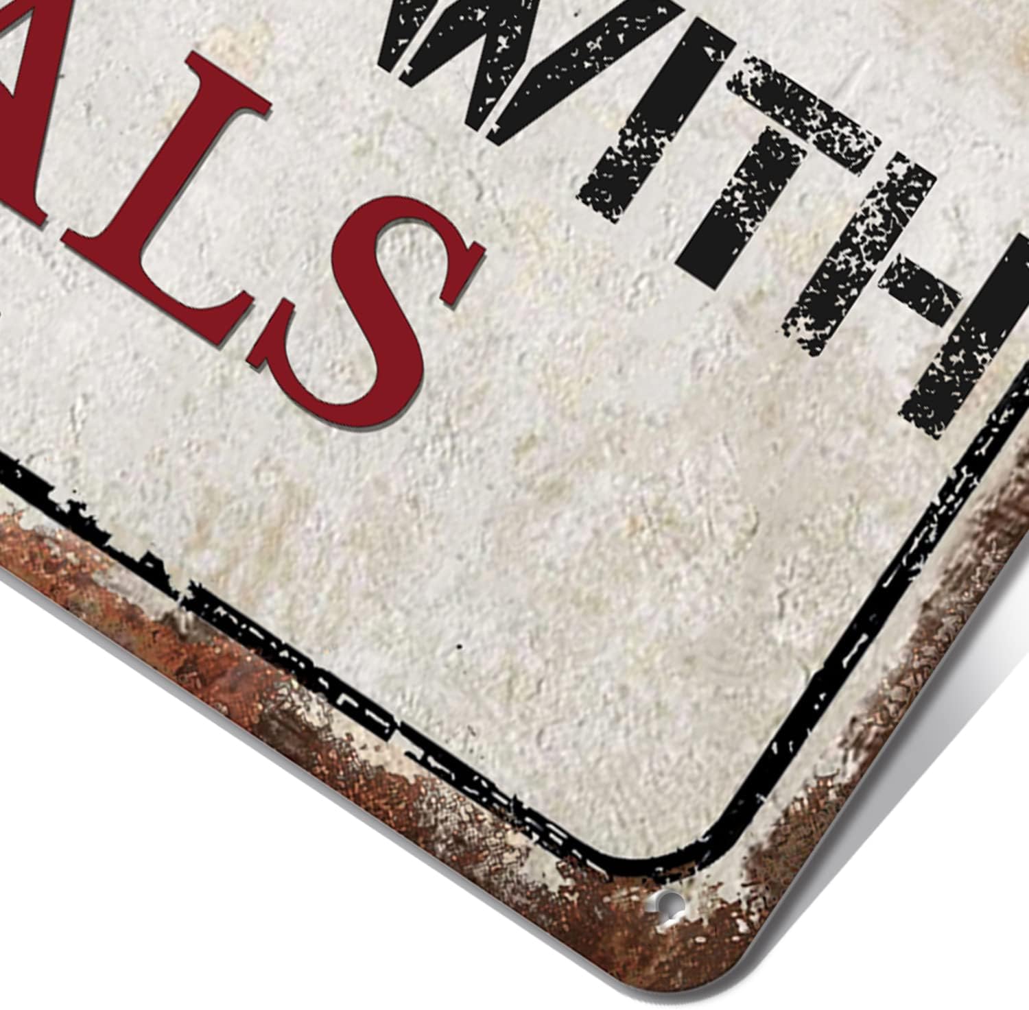SNOWANG Decor 12'' x 8'' Funny Vintage Tin Signs Sarcastic Retro Metal Signs For Home Wall, Backyard, Cafes, Bar, Man Cave