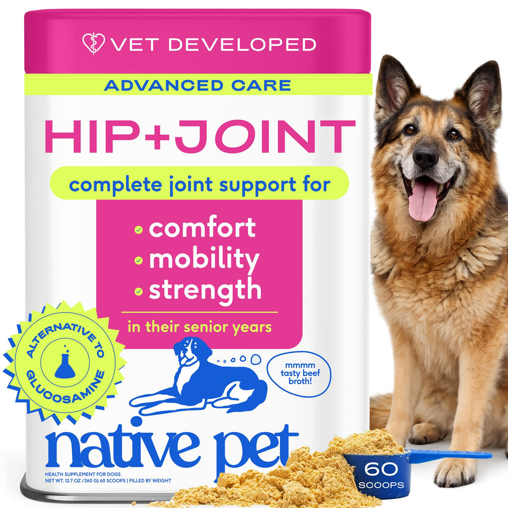 Native Pet Hip & Joint Advanced Care Dog Joint Supplement Powder for Mobility & Movement Support, Joint Supplement for Dogs with HMB, UC-II Collagen, Green Lipped Mussel & Hyaluronic Acid – 30 Scoops