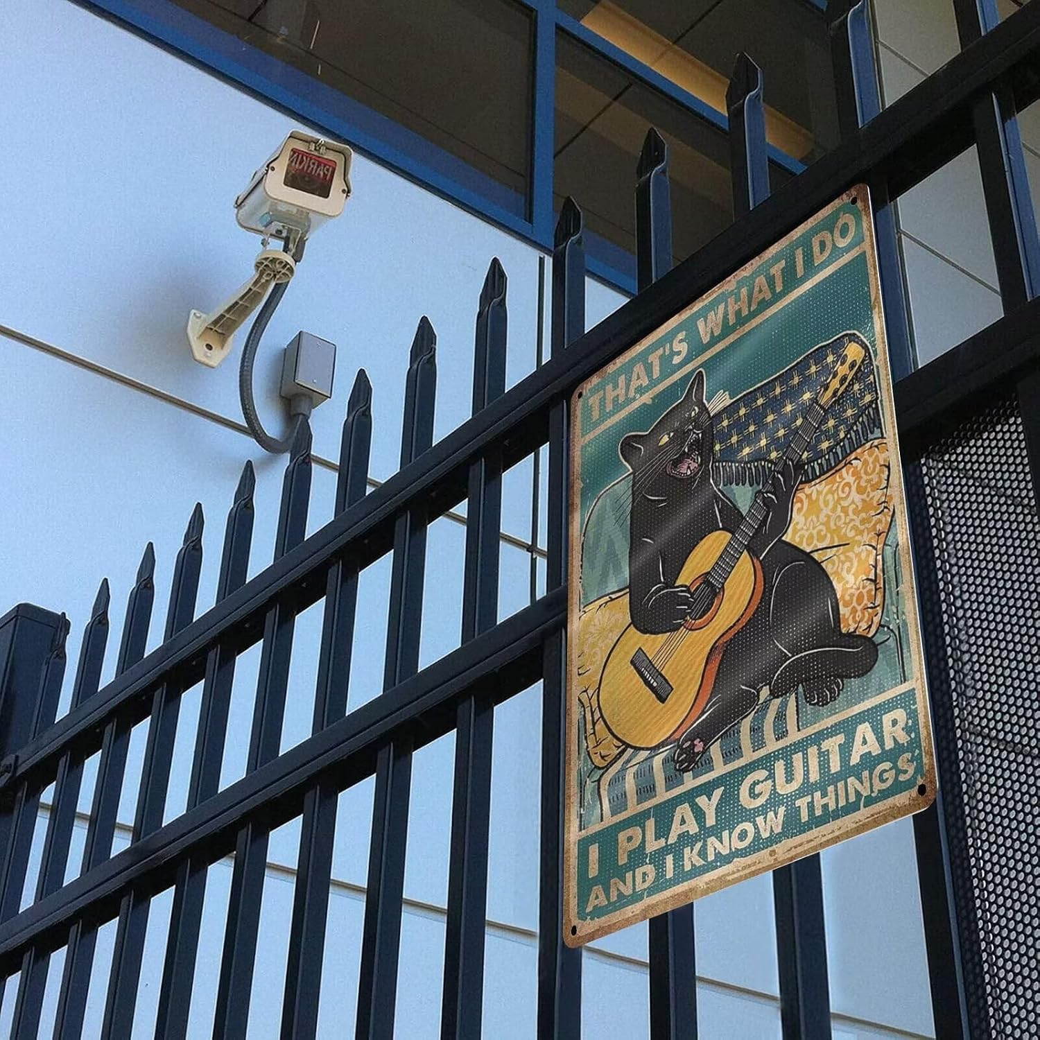 Black Cat That's What I Do I Play Guitar and I Know Things Metal Tin Sign Wall Art Deco Living Room, Cafe, Bar, Club, Garage Home Decoration Gift 8 X 12 Inches