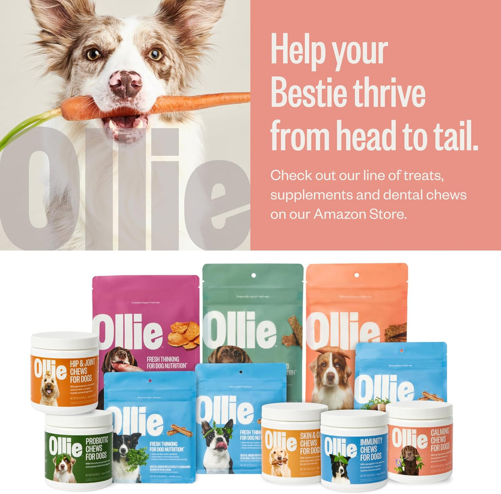 Ollie Jerky Dog Treats Variety Pack, Chicken and Apple and Beef and Sweet Potato Bundle, All Natural, Healthy, Made with Real Meat 5 Oz. Pack of 2
