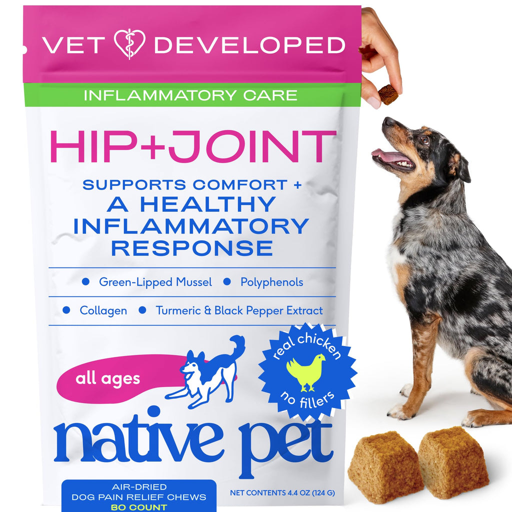 Native Pet Hip & Joint Advanced Care Dog Joint Supplement Powder for Mobility & Movement Support, Joint Supplement for Dogs with HMB, UC-II Collagen, Green Lipped Mussel & Hyaluronic Acid – 30 Scoops