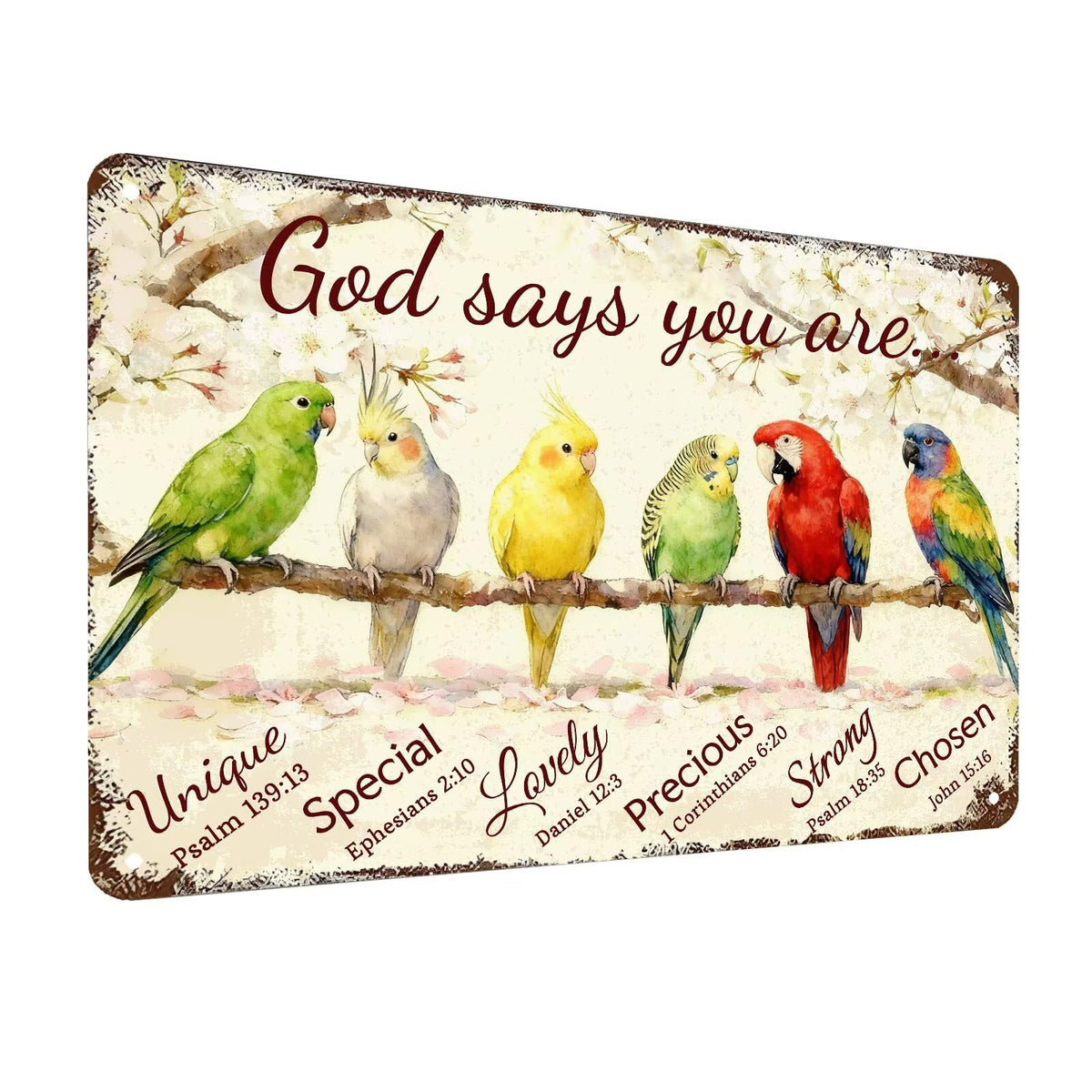 Inspirational Bible Verse Sign God Says You Are Metal Tin Signs Bird Print Christian Gift Quotes Poster for Church Prayer Room Office Decor 8x12 Inch