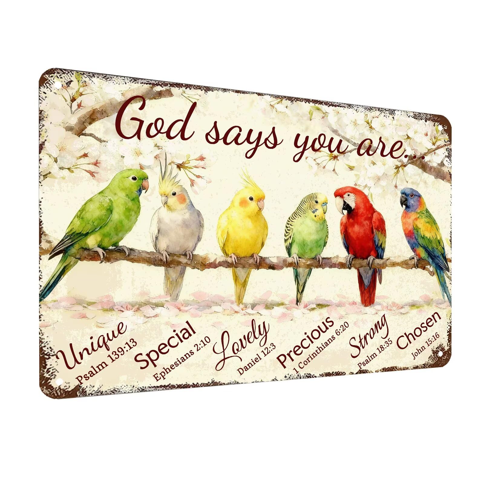 Inspirational Bible Verse Sign God Says You Are Metal Tin Signs Bird Print Christian Gift Quotes Poster for Church Prayer Room Office Decor 8x12 Inch