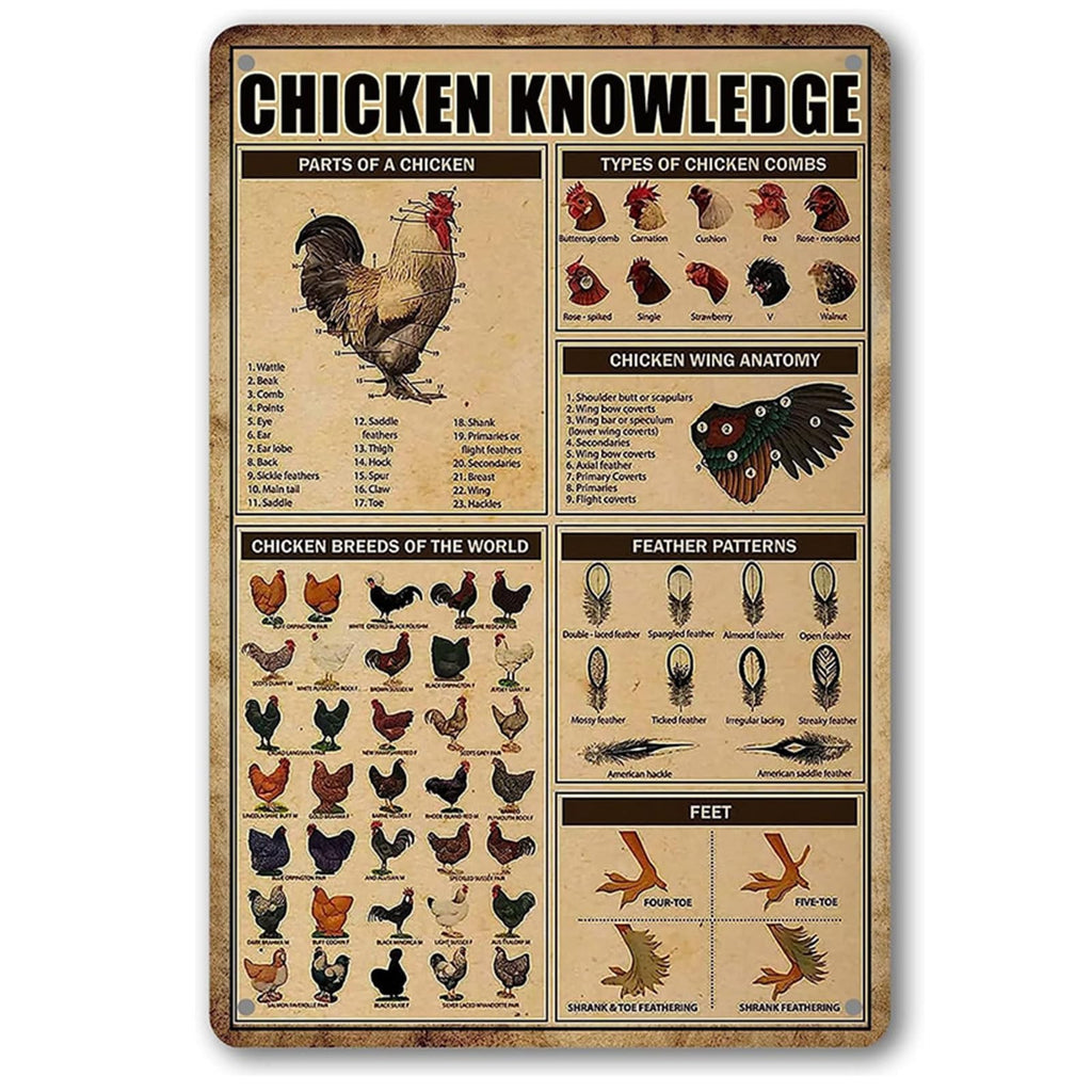 Anvils For Blacksmithing Knowledge Tin Sign Blacksmith Forge Metal Tin Signs The Smith's Tool Poster Blacksmith Anvil Sign 8x12 Inches
