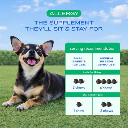 Native Pet Dog Allergy Chews - Dog Allergy Relief for Medium Breeds - Supports Seasonal Itch Relief, Healthy Immune Function & Reduces Sneezing - Colostrum, Spirulina, & Probiotics - 30 Days Supply