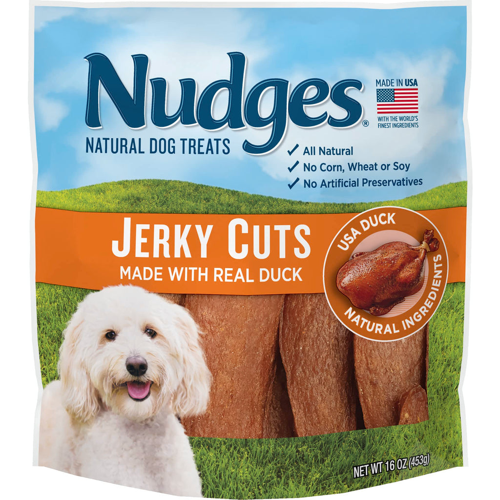 Blue Buffalo Nudges Chicken Jerky Bites Natural Dog Treats, Tender & Meaty Dog Snacks, Healthy Reward or Training Treat, Made in the USA with Real Chicken, No Artificial Preservatives, 16 oz.