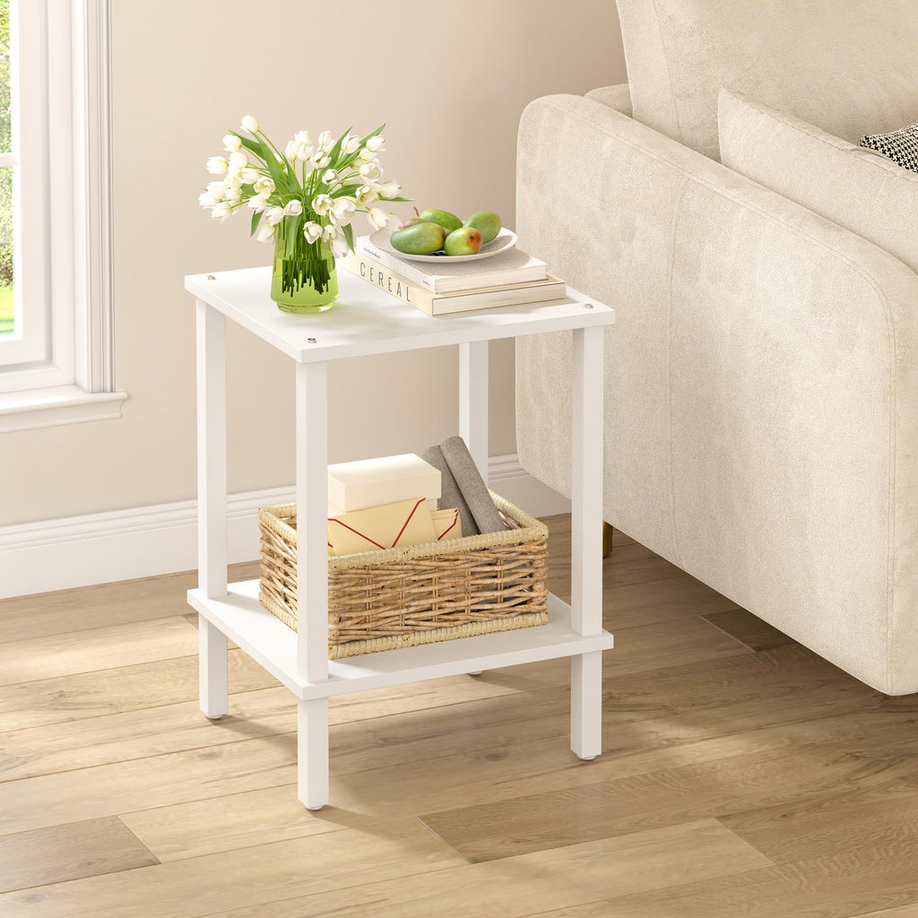TUTOTAK End Table, Set of 2, Side Table, Nightstand, 2-Tier Storage Shelf, Sofa Table for Small Space, Living Room, Bed Room TB01BK035