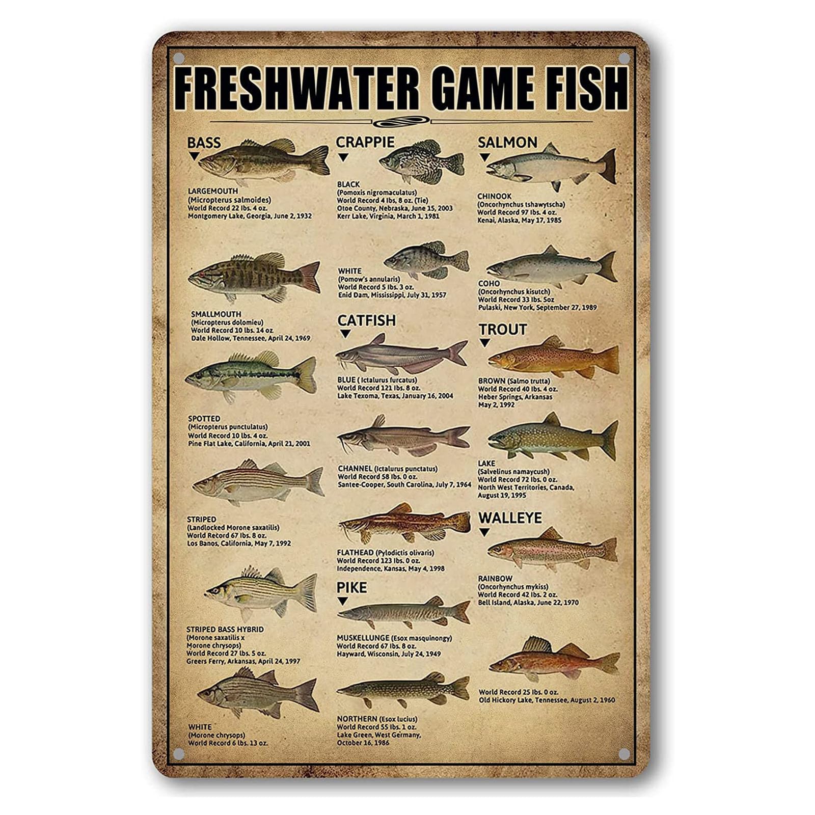 Funny Fishing Metal Tin Signs Vintage Fishing Sign Lake House Decor For Home Education Is Important But Fishing Is Importanter Sign 8x12 Inch