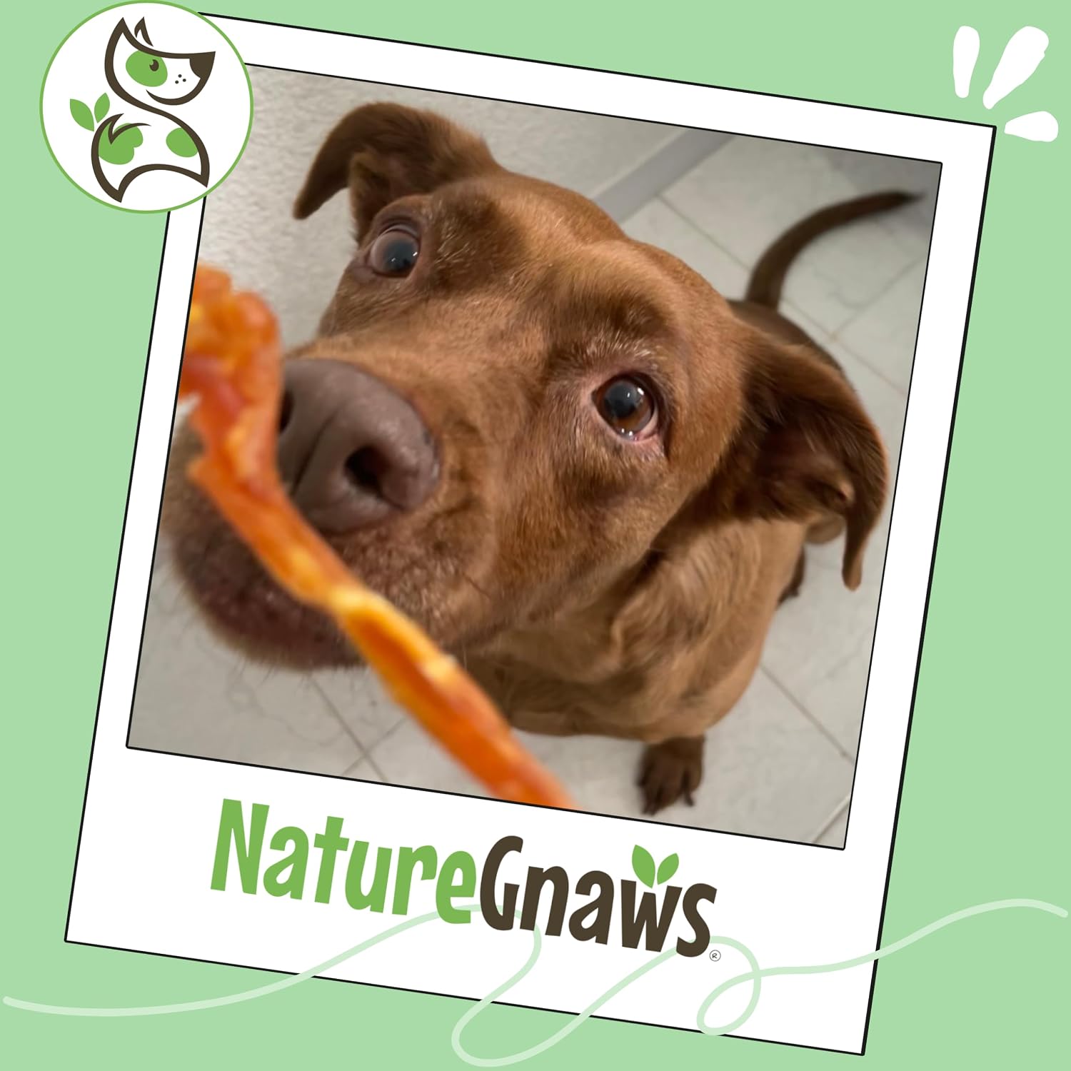 Nature Gnaws USA Turkey Tendons for Dogs (4oz) - Delicious Grain Free Reward Snack for Small, Medium & Large Breeds - Premium Natural Dog Chew Treats