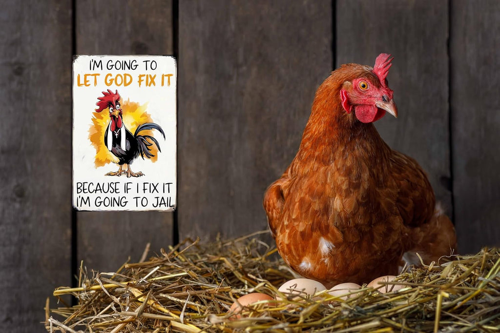 Funny Chicken Gifts Christian God Gifts Chicken I'm Going To Let God Fix It Tin Sign for Home Farm Chicken Coop Farmhouse Kitchen Garden Decor 8x12 in