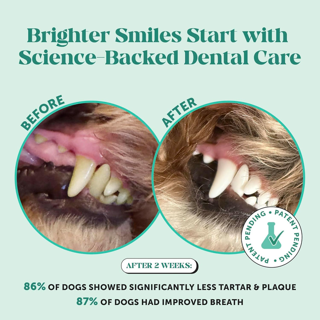 Dog Breath Freshener Dental Powder - Teeth Cleaning Plaque Off + Tartar Remover for Dogs - Care Supplement Food Topper with Kelp, HMP + Postbiotics for Healthy Gums - Mint Flavor (30 Servings)