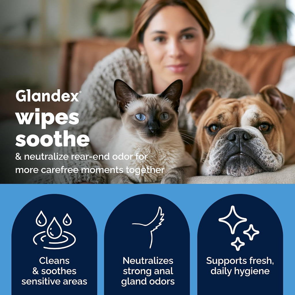 Vetnique Glandex Rear End Wipes for Dogs & Cats, Anal Gland Hygiene & Deodorizing Dog Wipes for Paws and Butt, Boot The Scoot with DeoPlex Enzyme, Aloe & Vitamin E (75ct)