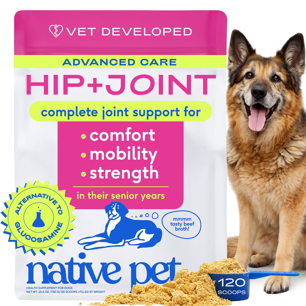 Native Pet Hip & Joint Advanced Care Dog Joint Supplement Powder for Mobility & Movement Support, Joint Supplement for Dogs with HMB, UC-II Collagen, Green Lipped Mussel & Hyaluronic Acid – 30 Scoops