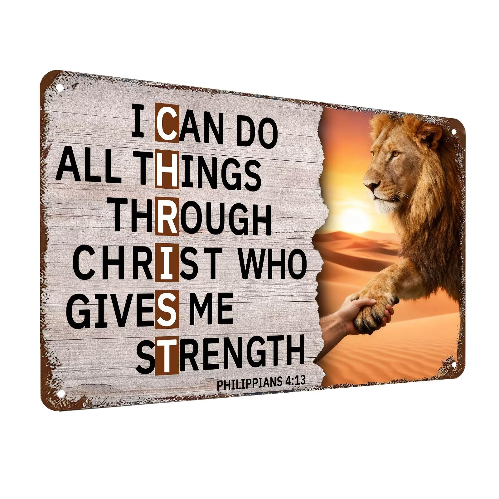Bless the Food Before Us Wall Decor Christian Gift Bible Verse Metal Tin Signs Inspirational Sign for Farmhouse Kitchen Dining Room Wall Decor 8x12 Inch