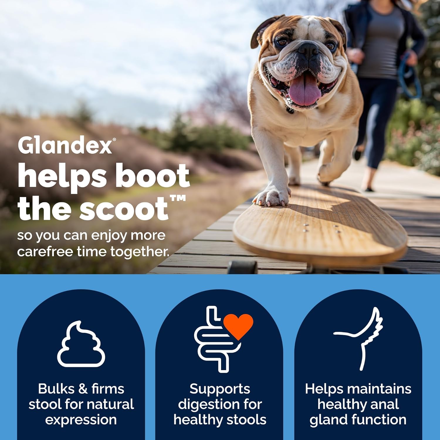 Vetnique Glandex Anal Gland Soft Chew Treats with Pumpkin for Dogs Digestive Enzymes, Probiotics Fiber Supplement for Dogs Boot The Scoot (Advanced Strength Duck/Bacon, 60 Ct)