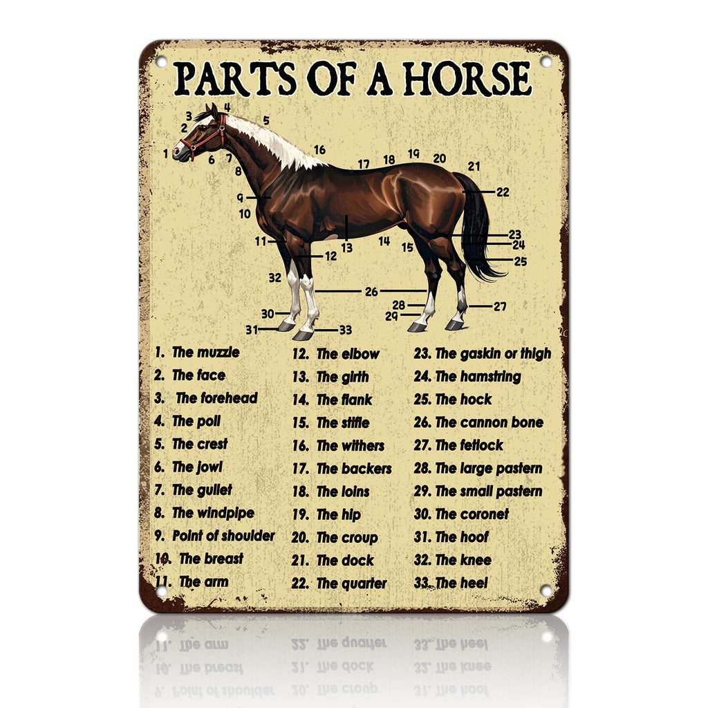 Funny Don'T Expect Me Normal Metal Tin Sign 12x8 Inch Horse Tin Sign Don'T Expect Me Normal Horse Poster Home Kitchen Garden Bar Restaurant Coffee Are Wall Decor