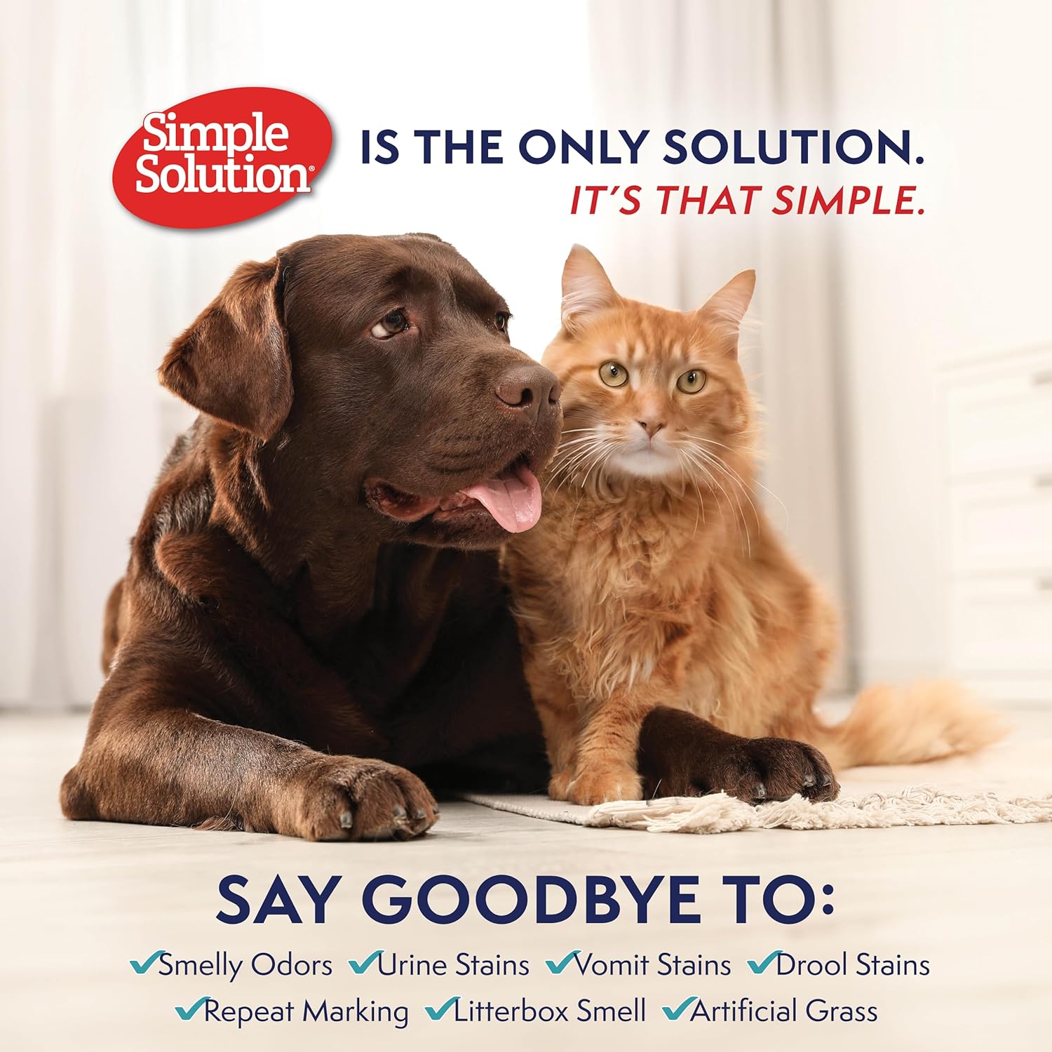 Simple Solution Extreme Pet Stain and Odor Eliminator Spray, Pee Stain Remover, Enzyme Cleaner, 3X Pro-Bacteria Cleaning Power, Dog Odor Remover, 32 oz