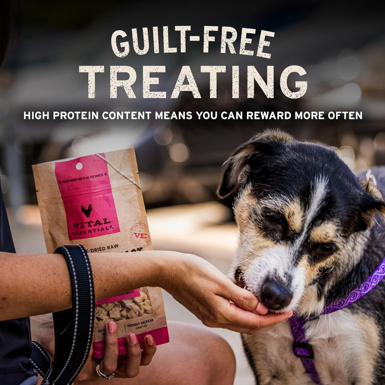 Vital Essentials Freeze Dried Raw Chicken Hearts Dog Treats | Single Ingredient | Premium Quality | Grain Free Treats for Dogs, 1.9 oz Bag