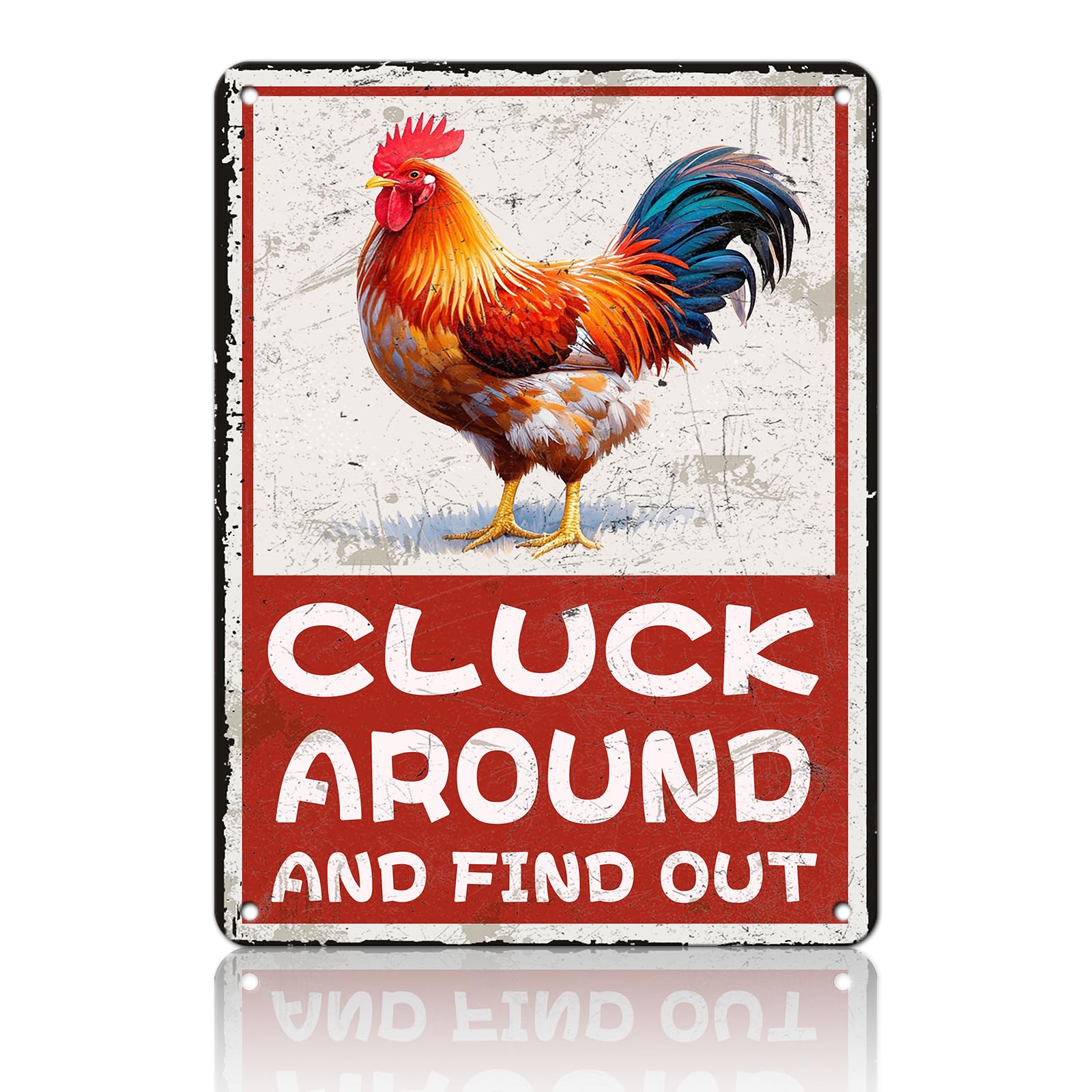 Chicken Metal Signs Rooster Kitchen Wall Decor Today I Will Pry More Worry Less Tin Sign 12x8 Inch Funny Chicken Coop Accessories Rooster Home Farm Yard Garden Decor