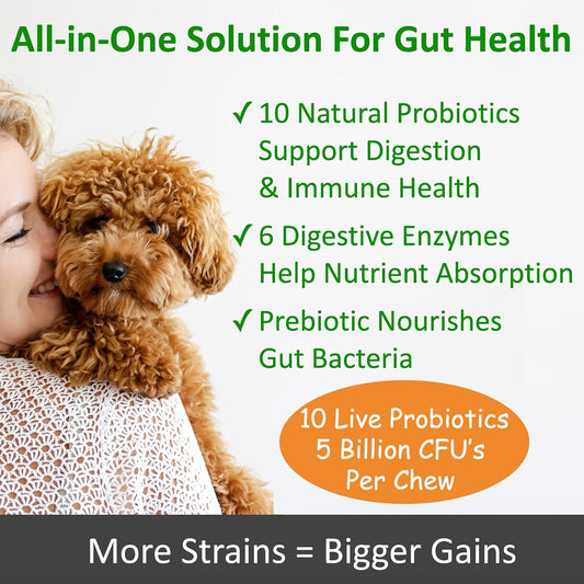 TummyWorks Probiotics for Dogs. 120 Probiotic Soft Chews for Digestive Health, Gut, Immunity, Energy, Allergies, Skin & Coat. 10 Strains, 5 Billion CFUs with 6 Enzymes. Made in USA