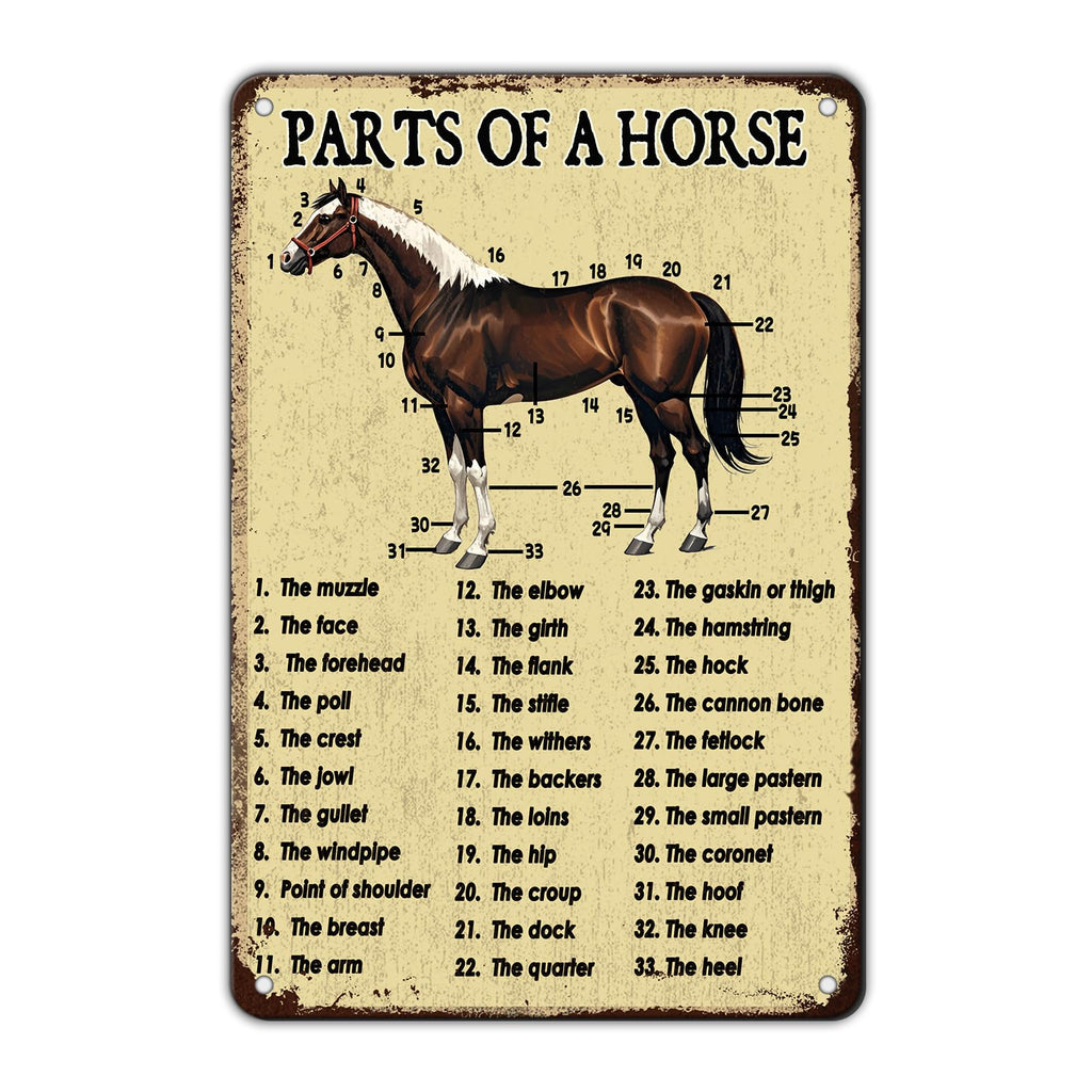 Funny Don'T Expect Me Normal Metal Tin Sign 12x8 Inch Horse Tin Sign Don'T Expect Me Normal Horse Poster Home Kitchen Garden Bar Restaurant Coffee Are Wall Decor