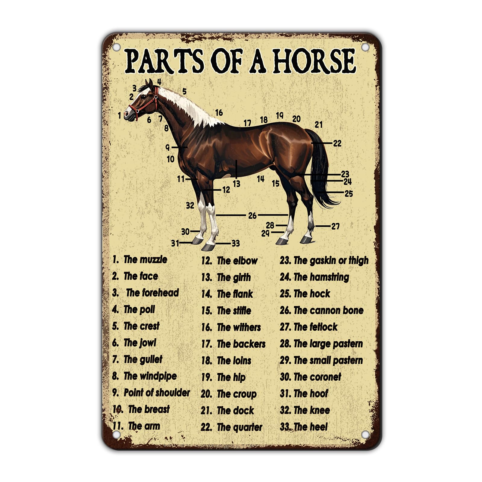 Funny Don'T Expect Me Normal Metal Tin Sign 12x8 Inch Horse Tin Sign Don'T Expect Me Normal Horse Poster Home Kitchen Garden Bar Restaurant Coffee Are Wall Decor