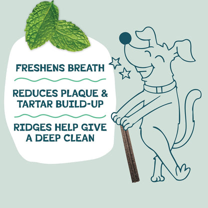 Shameless Pets Blueberry & Mint Dental Chews for Dogs, 8 Chews - Natural Dog Teeth Cleaning Treats with Fresh Breath Benefits | Grain-Free Dental Sticks for Small, Medium & Large Dogs