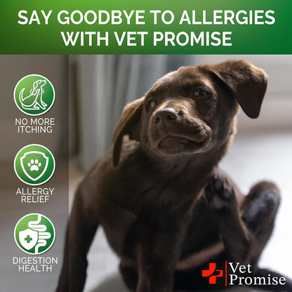 Dog Allergy Relief Chews - Dog Itch Relief Treatment - Anti Itch - Itchy Skin - Dry Skin & Hot Spots - Immune Health Supplement with Probiotics, Omega 3 Fish Oil, Colostrum - Made in USA - 120 Treats